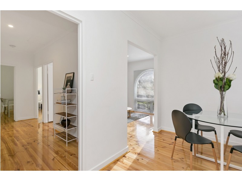 1/12 Alton Avenue, Torrens Park SA 5062