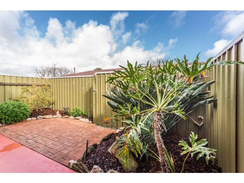 2/20 Ormond Ave, Daw Park SA 5041