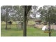 Summerholm QLD 4341