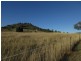 Plainland QLD 4341