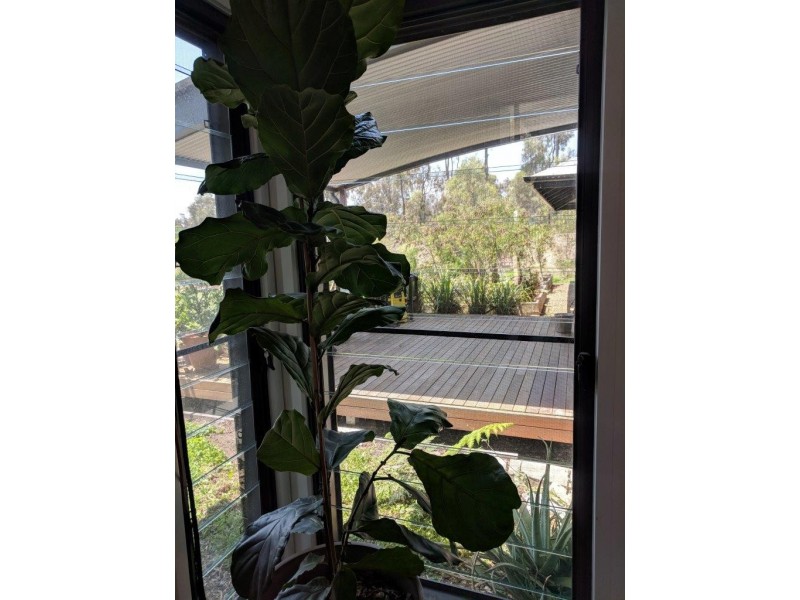 Hatton Vale QLD 4341