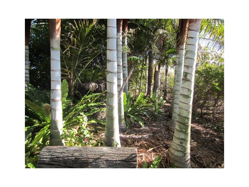 Laidley Heights QLD 4341