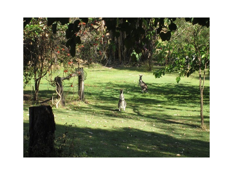 Laidley QLD 4341