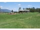 Thornton QLD 4341