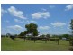 Laidley Heights QLD 4341