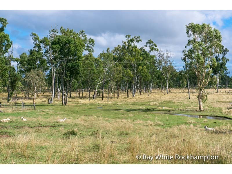 170 Black Creek Road, Nerimbera QLD 4701