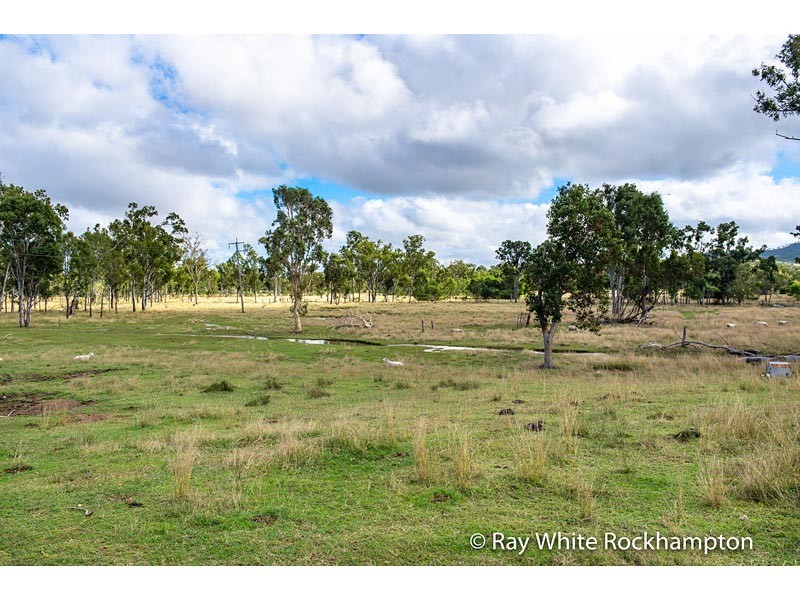 170 Black Creek Road, Nerimbera QLD 4701