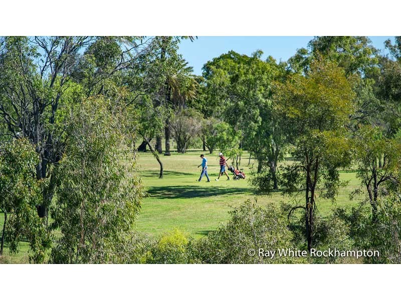 17 Werner Street, Park Avenue QLD 4701