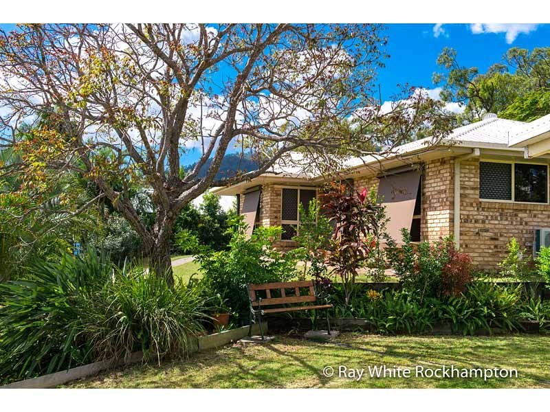 302 Everingham Avenue, Frenchville QLD 4701