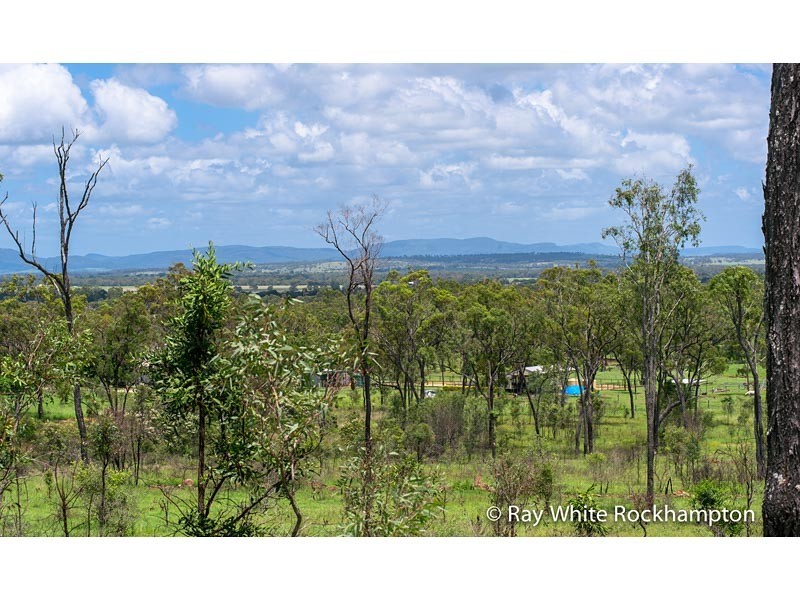 32 Colliver Road, Alton Downs QLD 4702