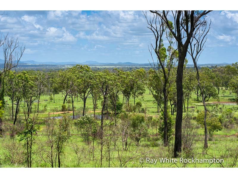 32 Colliver Road, Alton Downs QLD 4702