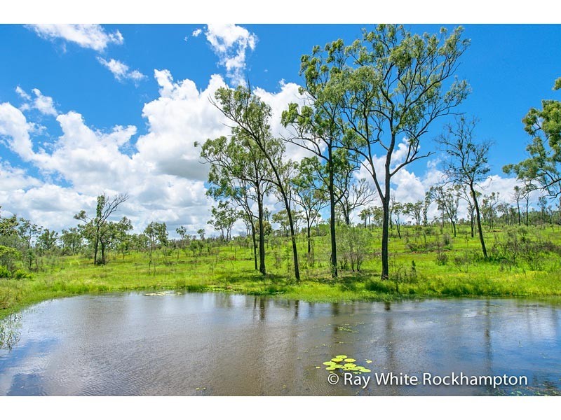 32 Colliver Road, Alton Downs QLD 4702