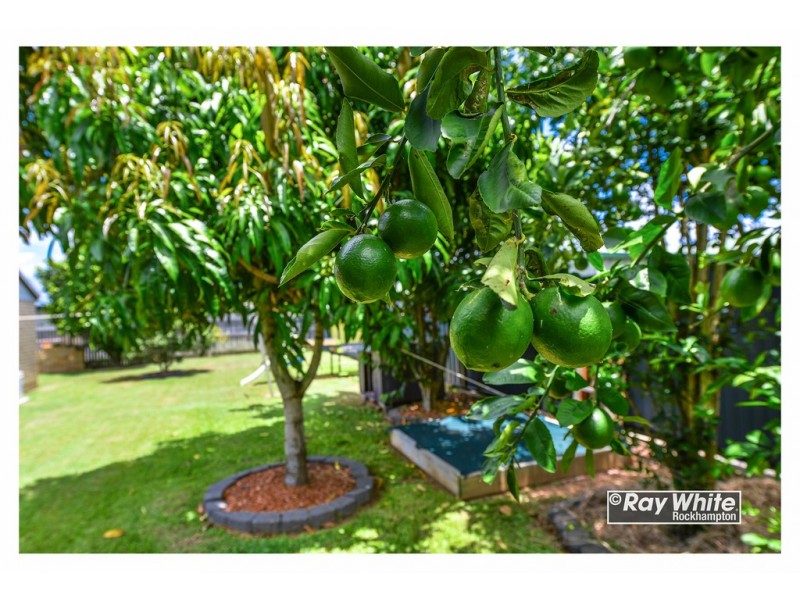 22 Turner Court, Parkhurst QLD 4702