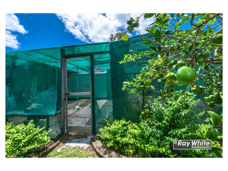 131 Wandal Road, Wandal QLD 4700