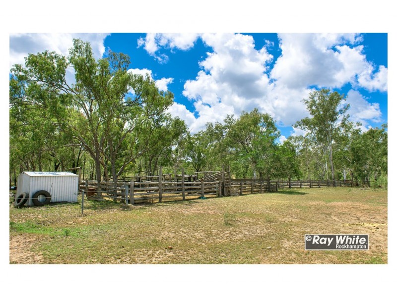 585 Oakey Creek Road, Oakey Creek QLD 4714