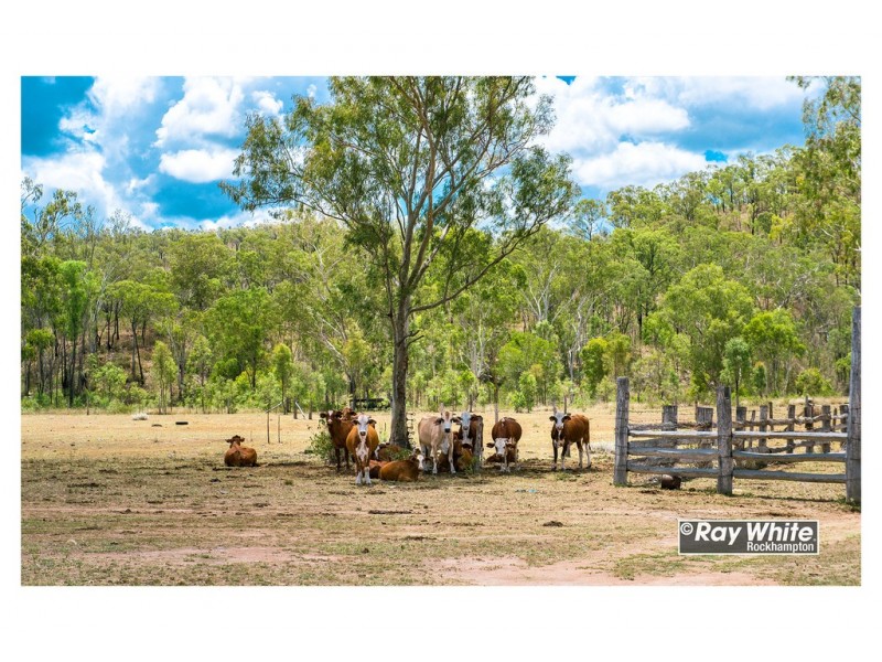 585 Oakey Creek Road, Oakey Creek QLD 4714