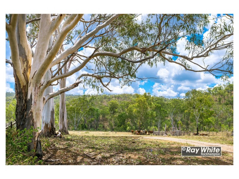 585 Oakey Creek Road, Oakey Creek QLD 4714