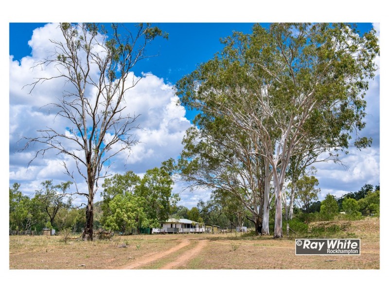 585 Oakey Creek Road, Oakey Creek QLD 4714