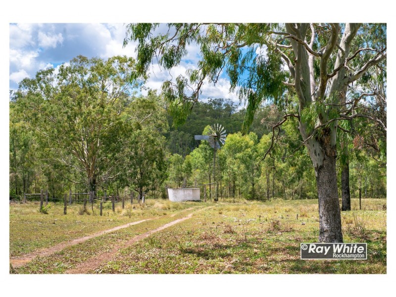 585 Oakey Creek Road, Oakey Creek QLD 4714