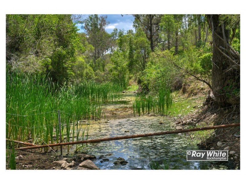 585 Oakey Creek Road, Oakey Creek QLD 4714