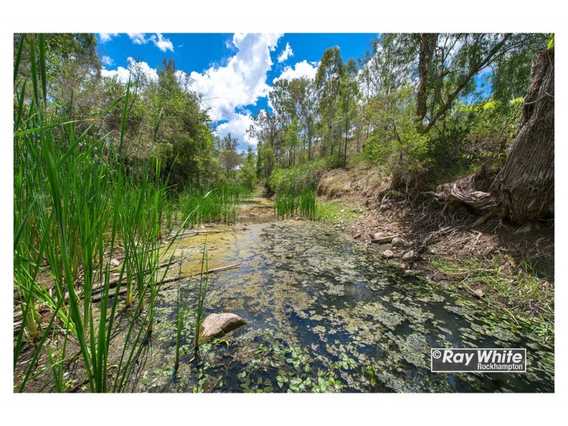 585 Oakey Creek Road, Oakey Creek QLD 4714