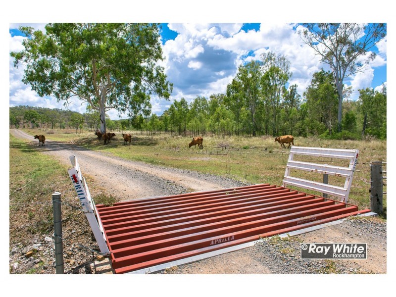 585 Oakey Creek Road, Oakey Creek QLD 4714