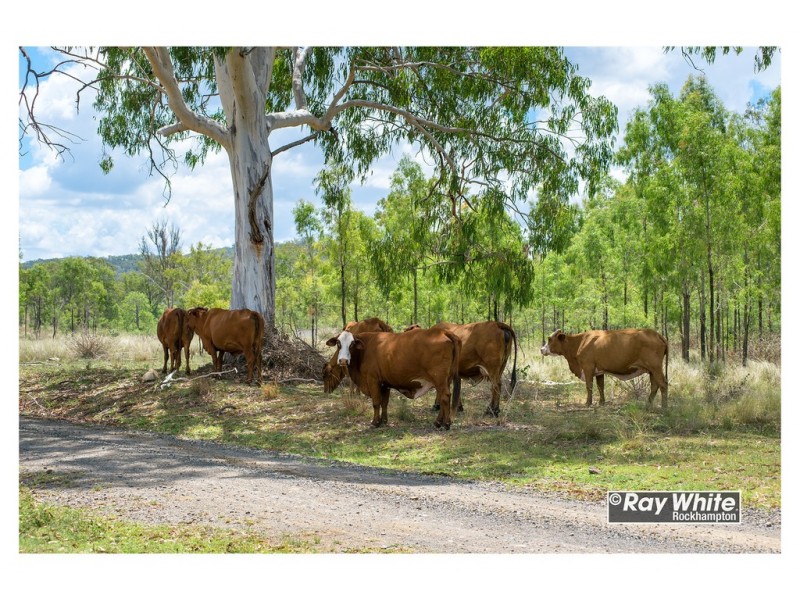 585 Oakey Creek Road, Oakey Creek QLD 4714
