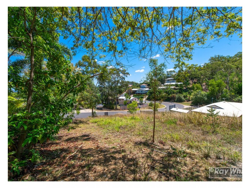 328 Everingham Avenue, Frenchville QLD 4701