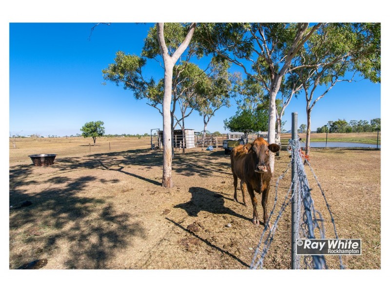 80 South Yaamba Road, Alton Downs QLD 4702