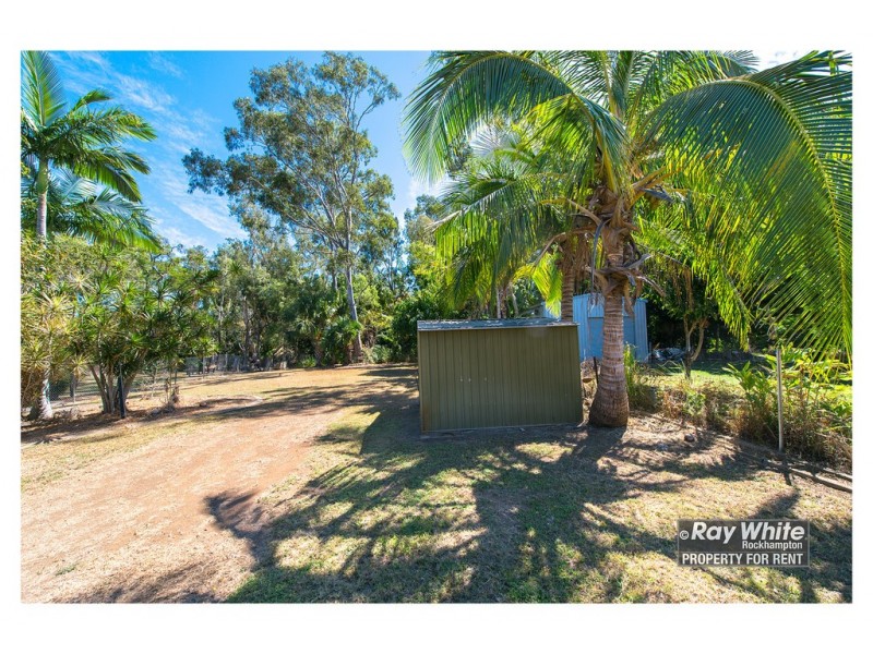 431 Moyle Street, Frenchville QLD 4701