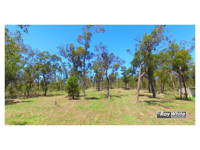 3 Brumby Drive, Tanby QLD 4703