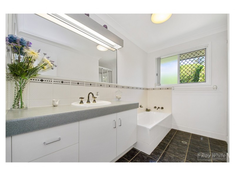 293 Everingham Avenue, Frenchville QLD 4701