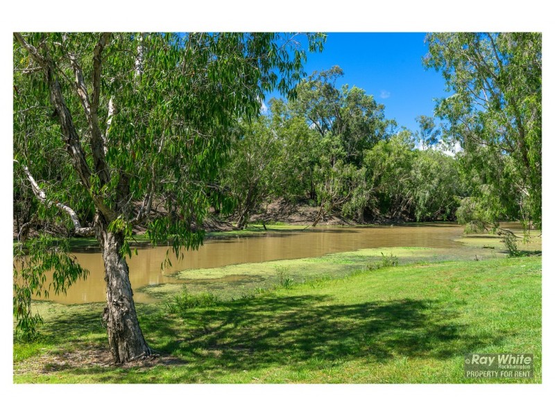 7/190 Lion Creek Road, Wandal QLD 4700