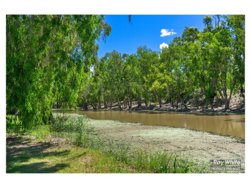 7/190 Lion Creek Road, Wandal QLD 4700