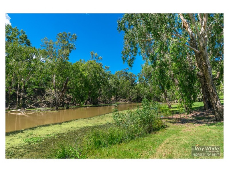 7/190 Lion Creek Road, Wandal QLD 4700