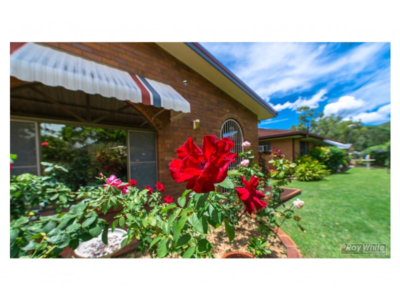 449 Eichelberger Street, Frenchville QLD 4701