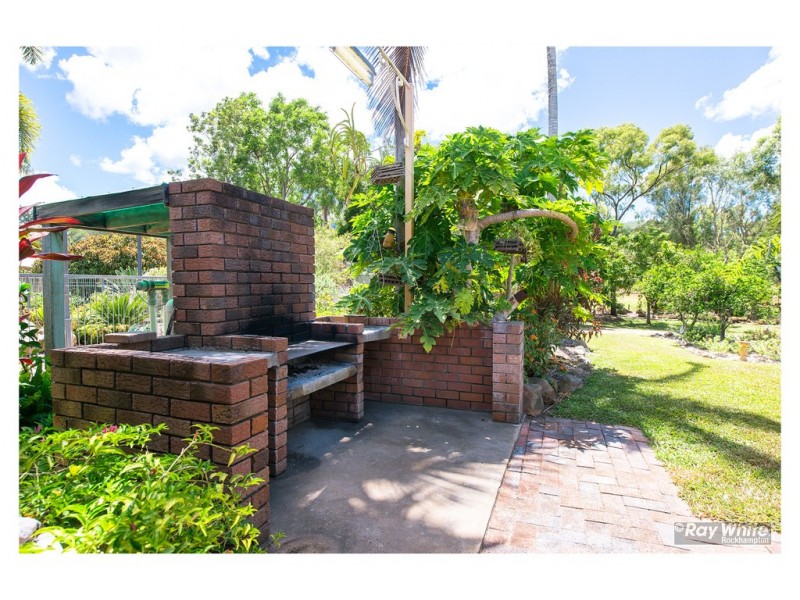 197 Vallis Street, Frenchville QLD 4701