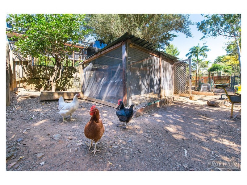 21 Archer View Terrace, Frenchville QLD 4701