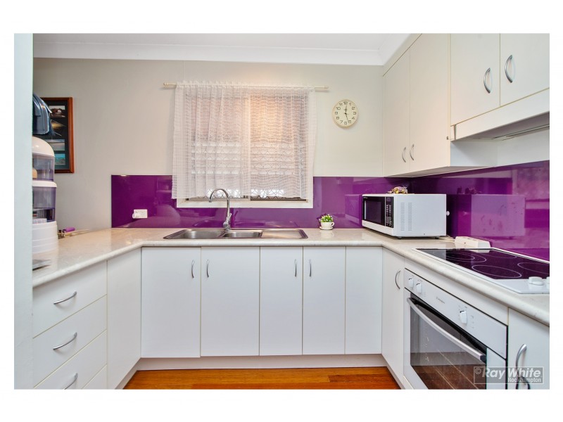 91 Livingstone Street, Berserker QLD 4701