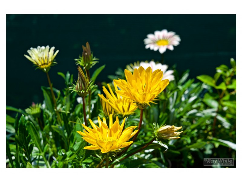 20-22 Mary Street, Yeppoon QLD 4703