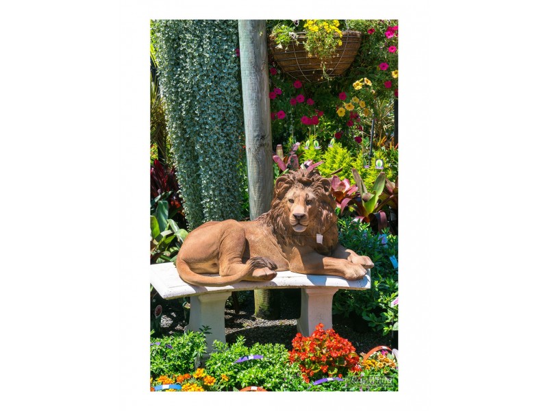 20-22 Mary Street, Yeppoon QLD 4703