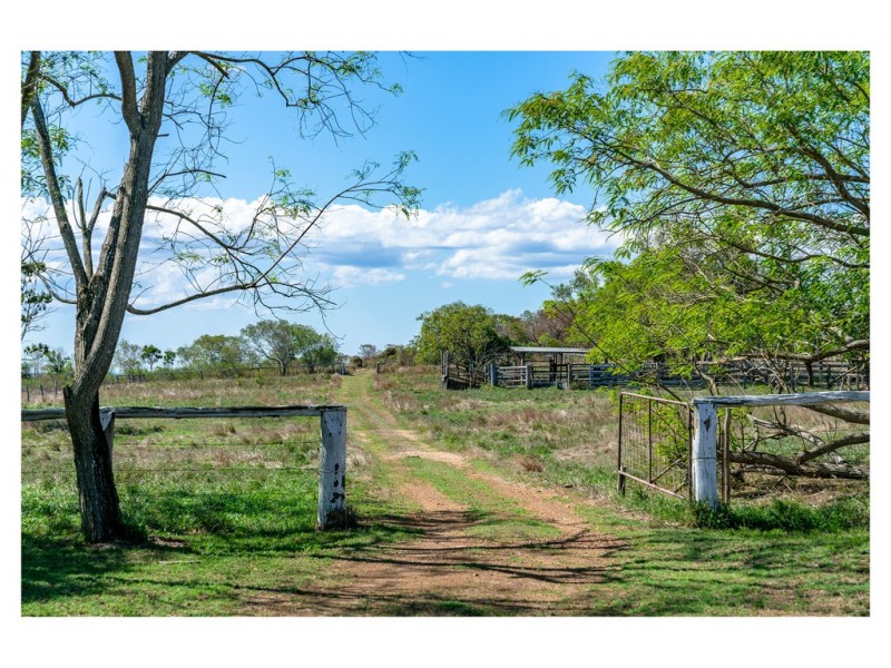 11 Kelehers Road, Milman QLD 4702