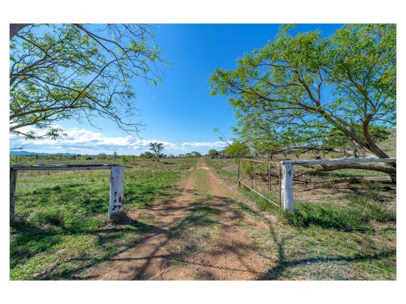 11 Kelehers Road, Milman QLD 4702