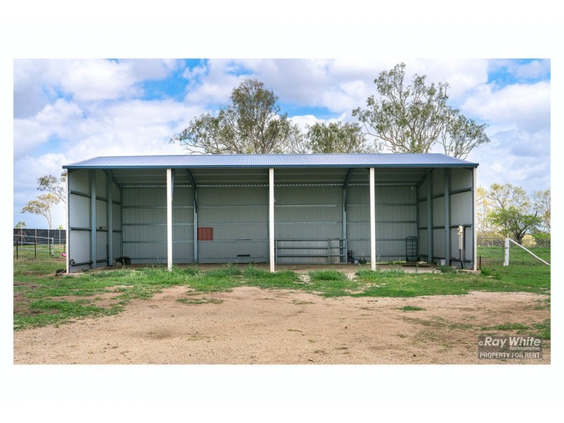 306 Alton Downs Nine Mile Road, Alton Downs QLD 4702