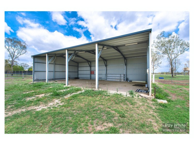 306 Alton Downs Nine Mile Road, Alton Downs QLD 4702