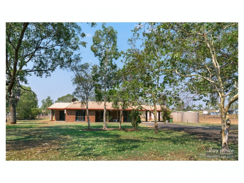 14 Beak Street, Gracemere QLD 4702