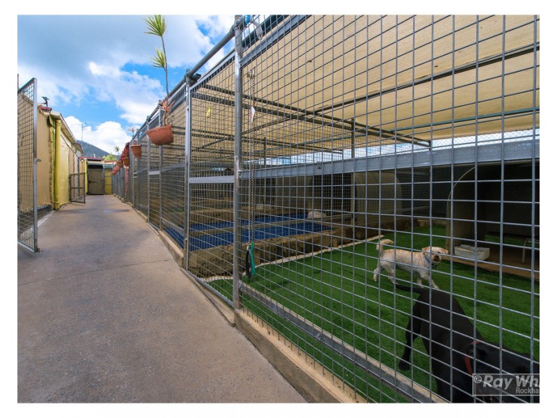 2 Totteridge Street, Lakes Creek QLD 4701