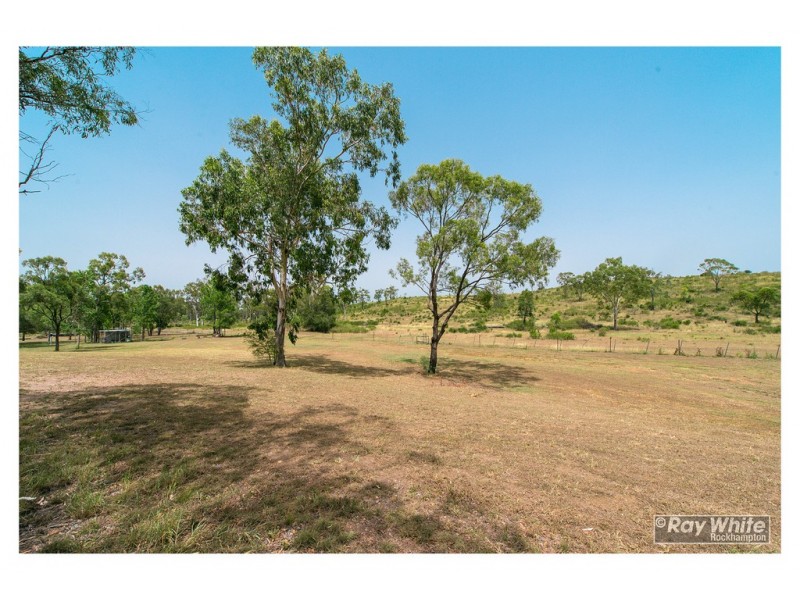 124 Fons Drive, Glendale QLD 4711