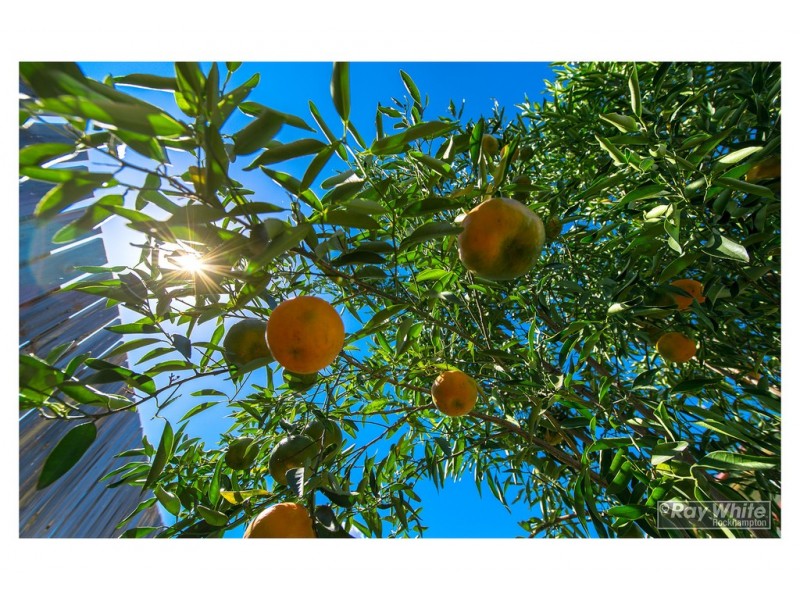 51 Old Capricorn Highway, Gracemere QLD 4702