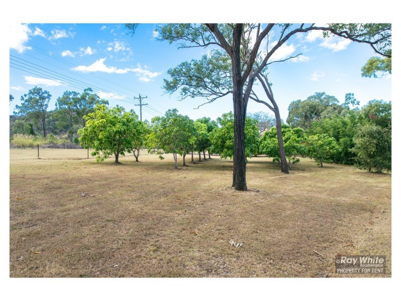 146 Barmoya Road, The Caves QLD 4702